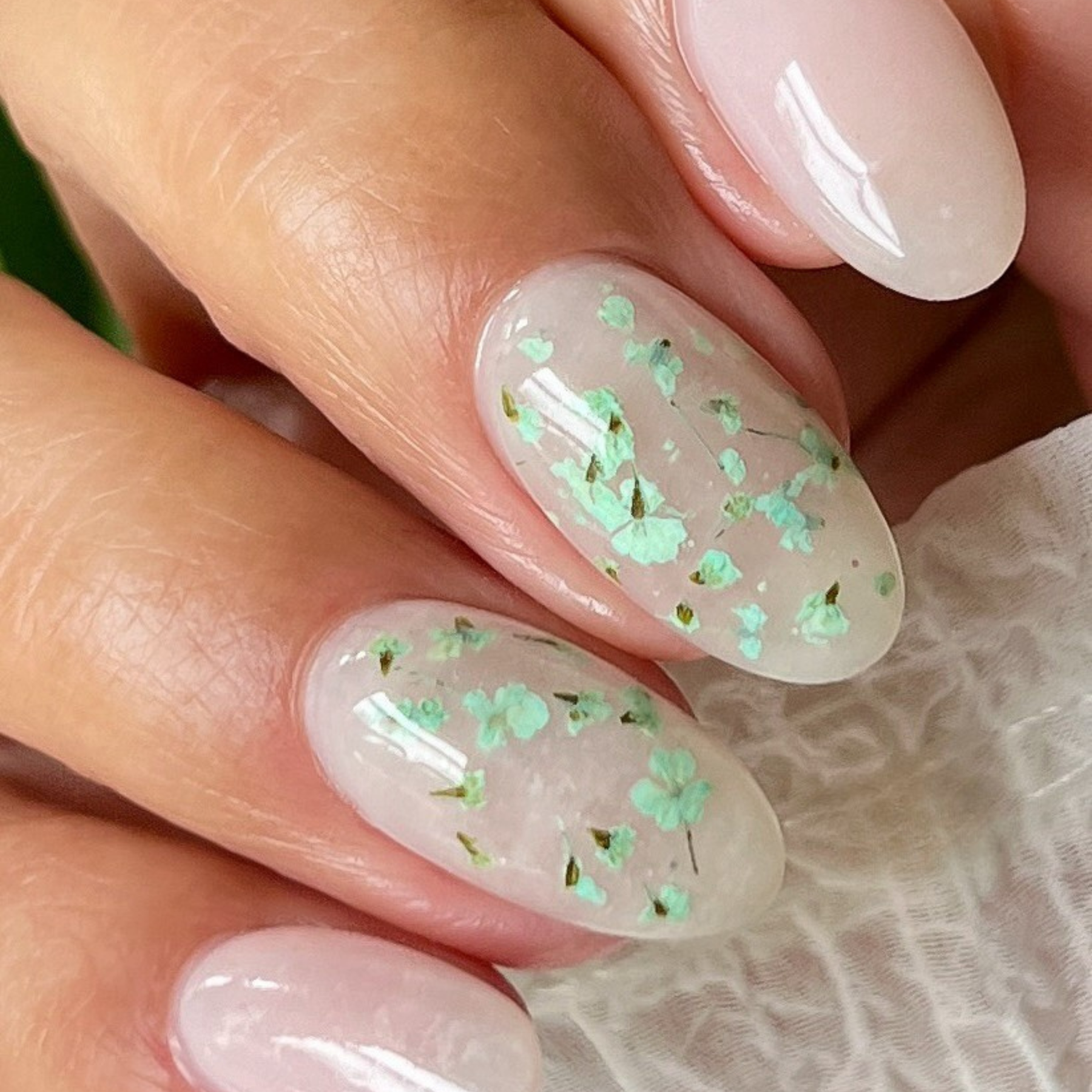 Milky Blossom Dyppepulver