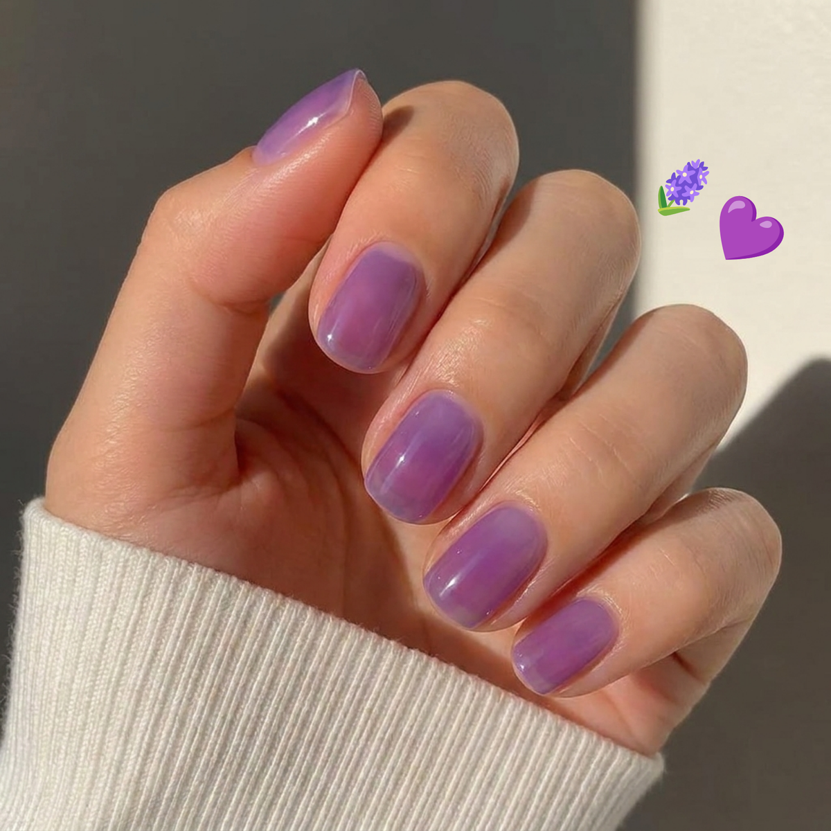 Jelly Lavender | Dyppepulver